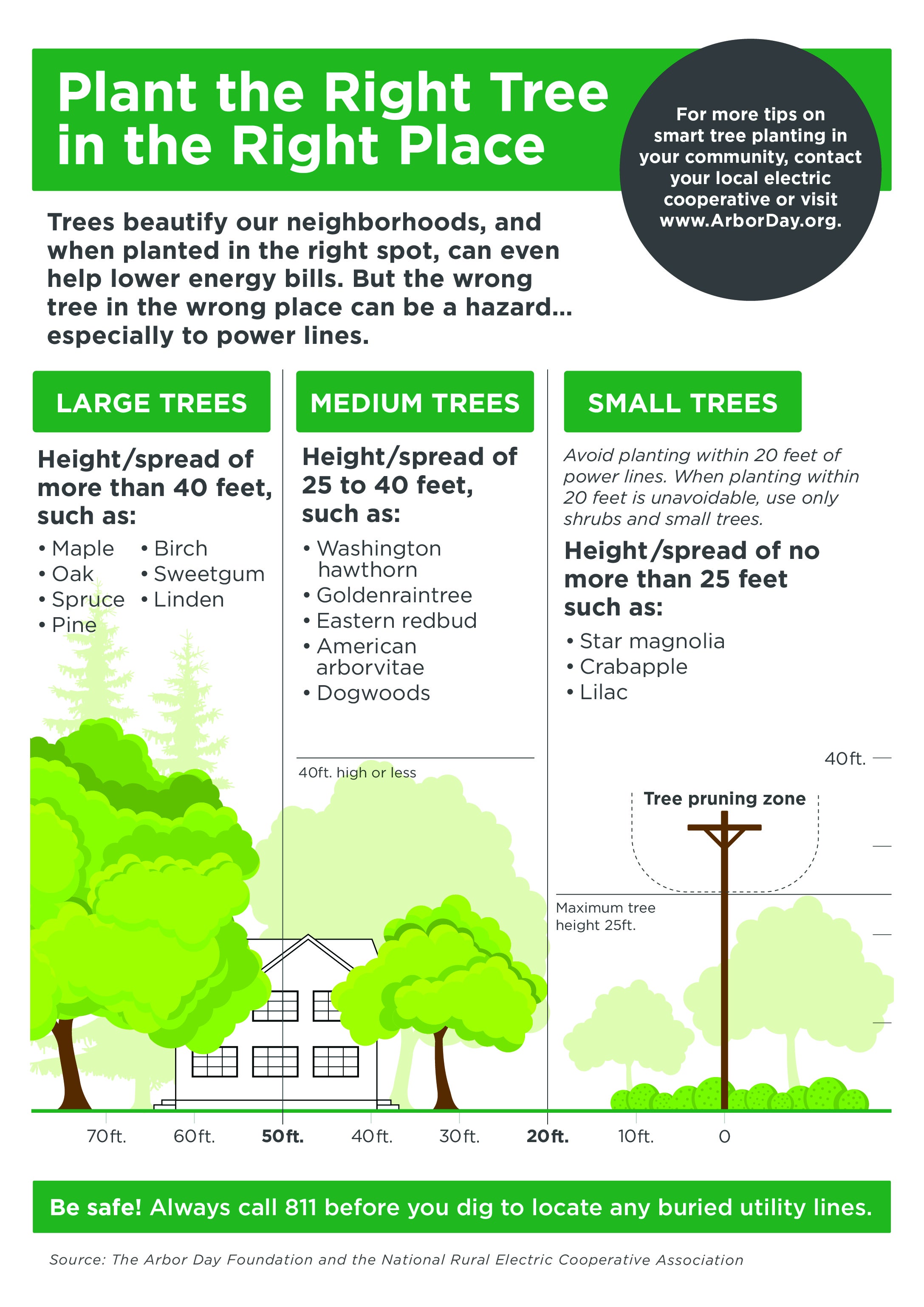 Plant Trees in the Right Place